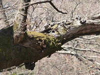 14tagP1090964s_thumb.jpg